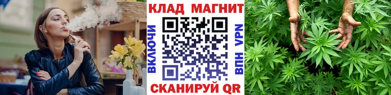 Псилоцибиновые грибы Покров